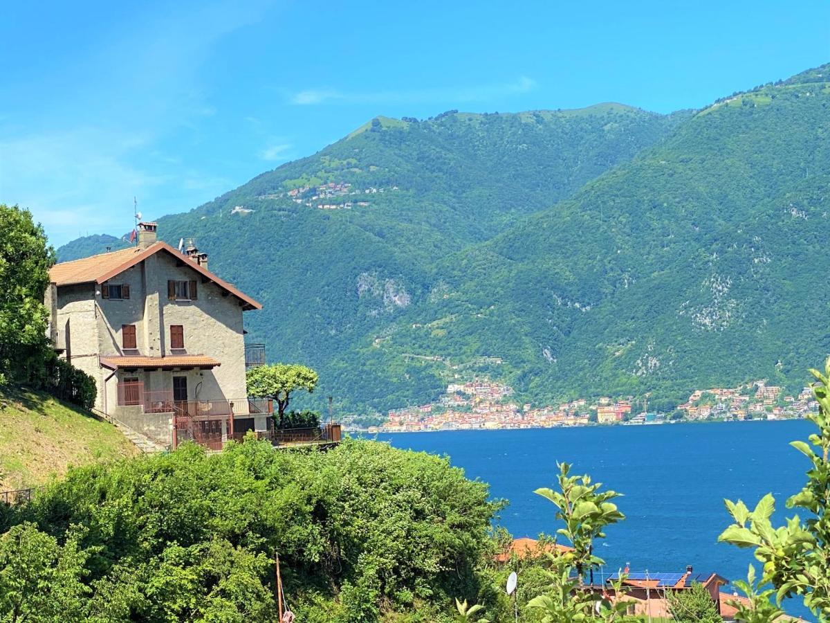 Il Bellavista Apartment Lezzeno Exterior photo